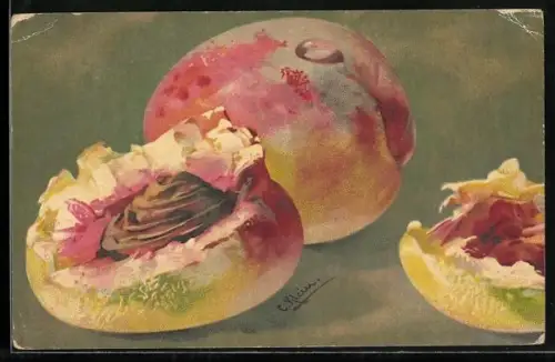 Künstler-AK Catharina Klein: Stillleben von zwei Pfirsichen