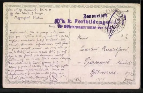 Künstler-AK Catharina Klein: Stillleben von zwei Pfirsichen