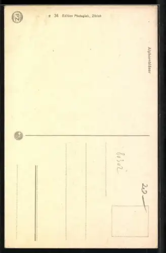 AK Alphornbläser in Tracht