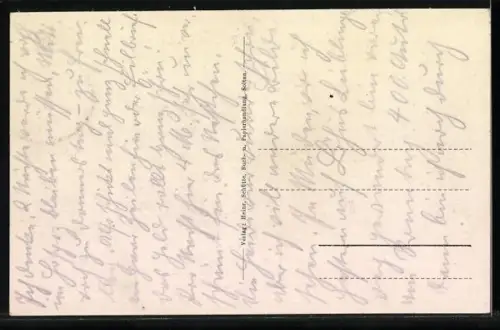 AK Soltau /Lüneburger Heide, Bahnhofstrasse