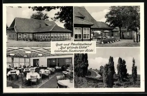 AK Bispingen /Lüneburger Heide, Gasthaus und Pension Zur Grünen Eiche, Bes. H. Rieckmann