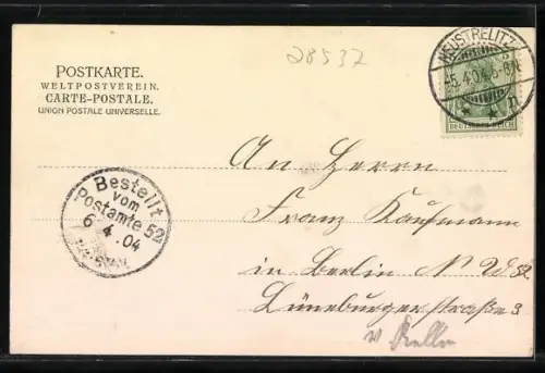 AK Neustrelitz, Rehe im Thiergarten