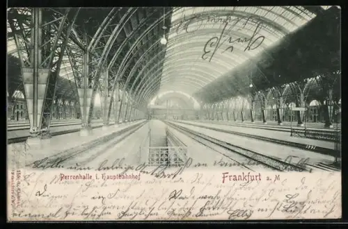 AK Frankfurt a. M., Perronhalle im Hauptbahnhof