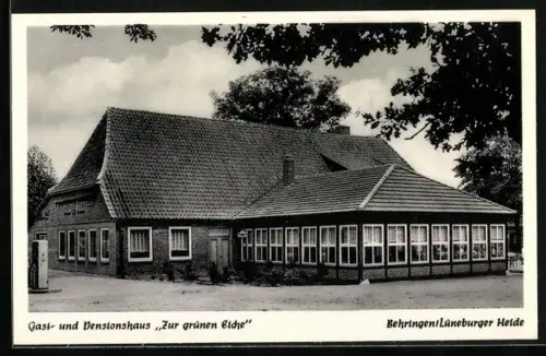 AK Behringen /Lüneburger Heide, Gasthaus und Pension Zur grünen Eiche, Inh. H. Rieckmann