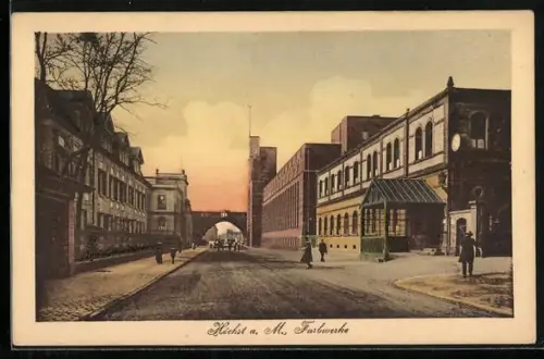 AK Höchst a. M., Farbwerke mit Strassenpartie