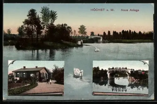 AK Höchst a. M., Neue Anlage, Schwanenteich