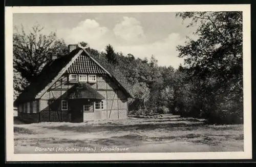 AK Borstel / Bispingen, Gasthaus Pension Lönsklause v. W. Müller