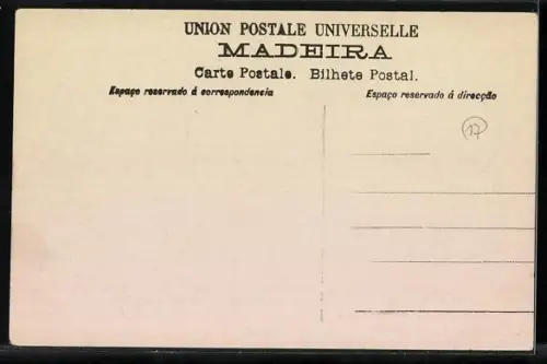 AK Madeira, Funchal