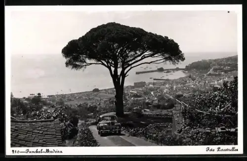 AK Funchal, Panorama