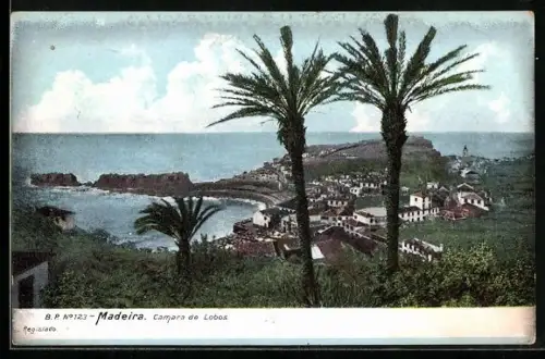 AK Madeira, Camara de Lobos, Blick über den Ort