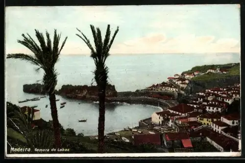 AK Madeira, Bamara de Lobos