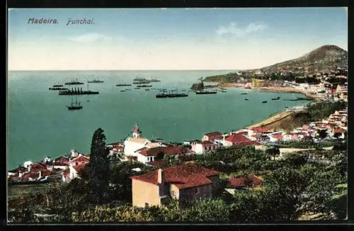 AK Funchal / Madeira, Panoramablick auf den Küstenort