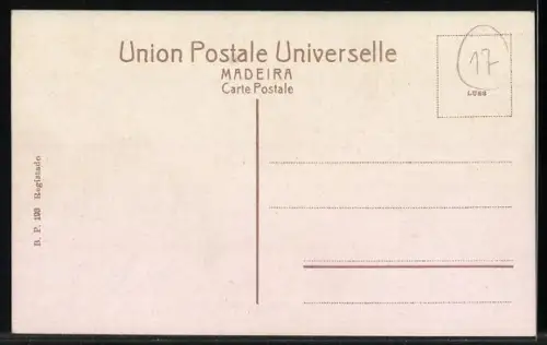 AK Funchal / Madeira, Panoramablick auf den Küstenort