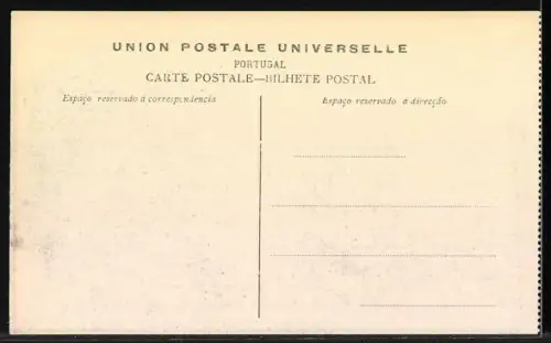 AK Cintra, Vista geral