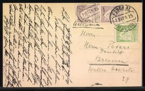 AK Madeira, Vista parao monte