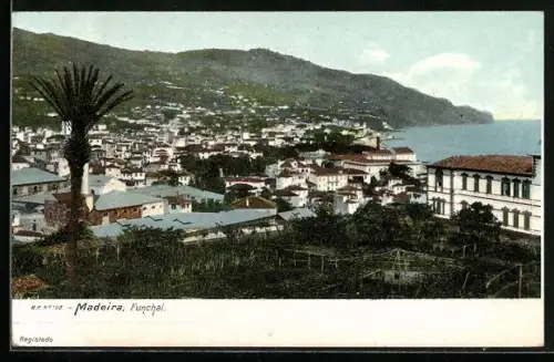 AK Madeira, Funchal, Totale vom Berg aus zur Küste
