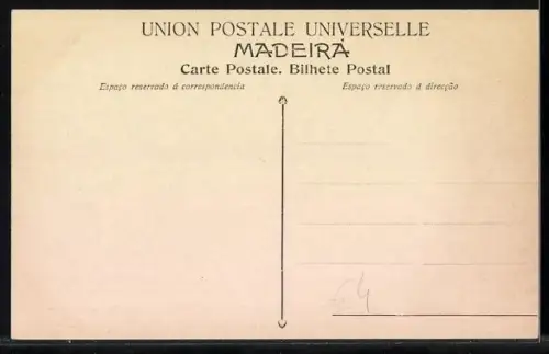 AK Madeira, Funchal, Totale vom Berg aus zur Küste
