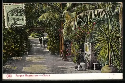 AK Cintra, Parque Monserrate