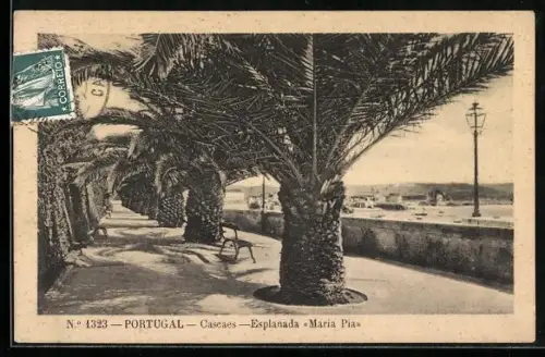 AK Cascaes, Esplanada Maria Pia