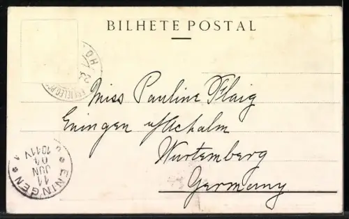 AK Fayal, Cidade da Horta