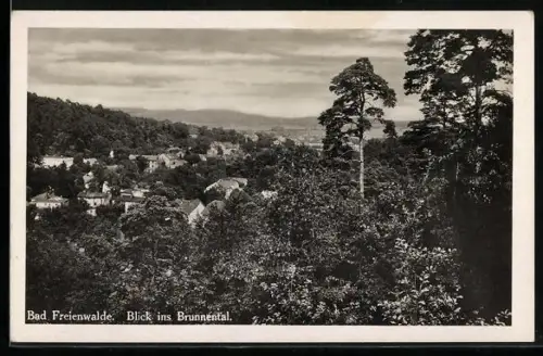 AK Bad Freienwalde, Blick ins Brunnental mit Umgebung