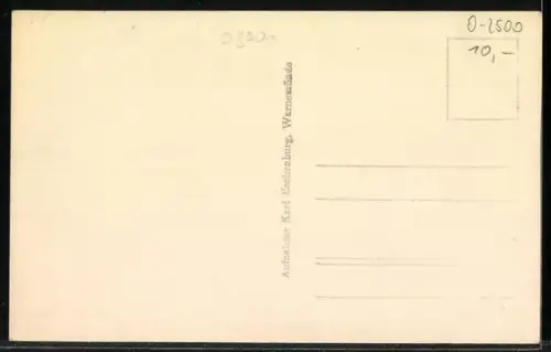 AK Rostock, Neuer Markt mit Kirche, Restaurant und Café Borwin