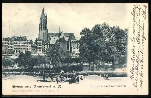 AK Frankfurt a. M., Blick von Sachsenhausen auf Kirche