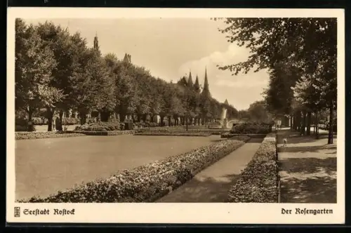 AK Rostock, Der Rosengarten mit dazugehörigen Grünanlagen