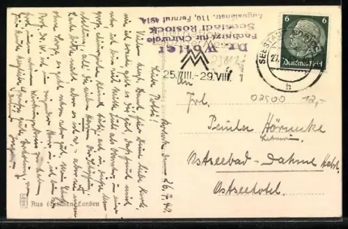 AK Rostock, Der Rosengarten mit dazugehörigen Grünanlagen