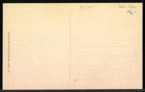 AK Rostock, Totalansicht