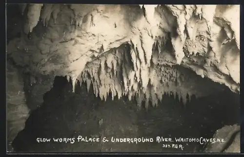 AK Waitomo Caves, Glow Worms Palace & Underground River