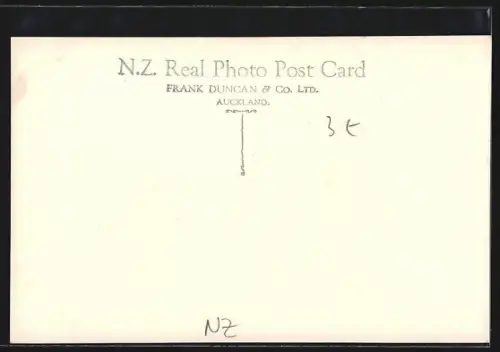 AK Waitomo Caves, Glow Worms Palace & Underground River