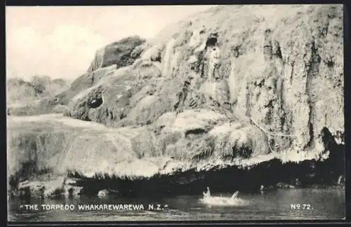 AK The Torpedo Whakarewarewa, Panorama