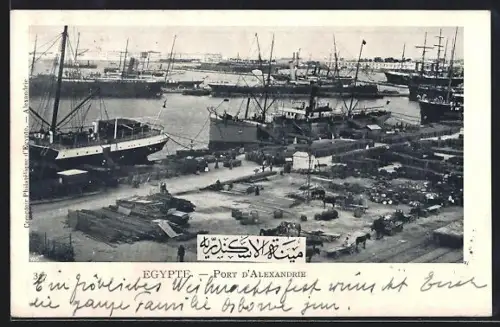AK Alexandrie, Le Port