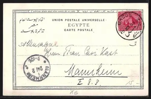 AK Alexandrie, Le Port