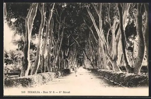 AK Ismailia, Rue No. 6
