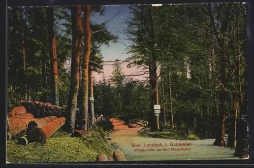 AK Bad Landeck i. Schlesien, Waldpartie an der Rodelbahn