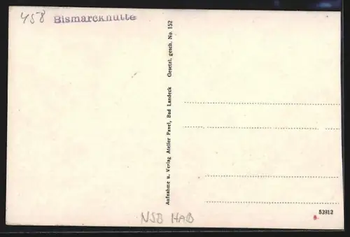 AK Bad Landeck i. Schlesien, Waldpartie an der Rodelbahn