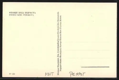 AK Perast, Otoci Kod Perasta