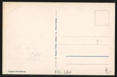 AK Bad Flinsberg, Blick vom Hasenstein