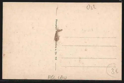 AK Bad Flinsberg im Isergebirge, Blick von der Hubertusbaude nach dem Kemnitzberg