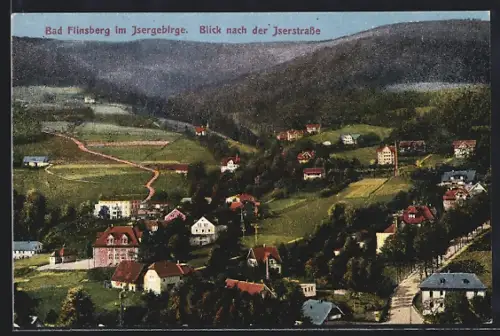 AK Bad Flinsberg im Isergebirge, Blick nach der Iserstrasse