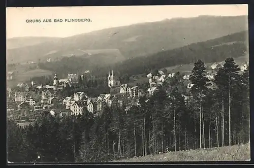 AK Bad Flinsberg, Panorama mit Kirche