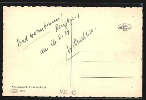 AK Agnetendorf /Riesengebirge, Panorama