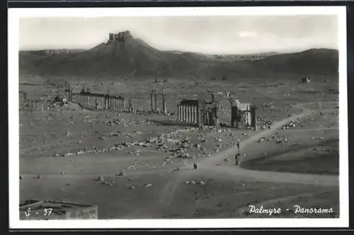 AK Palmyra, Panorama