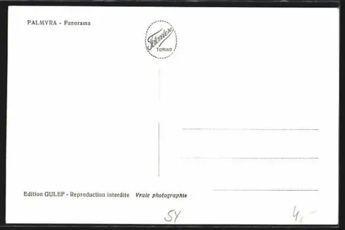 AK Palmyra, Panorama
