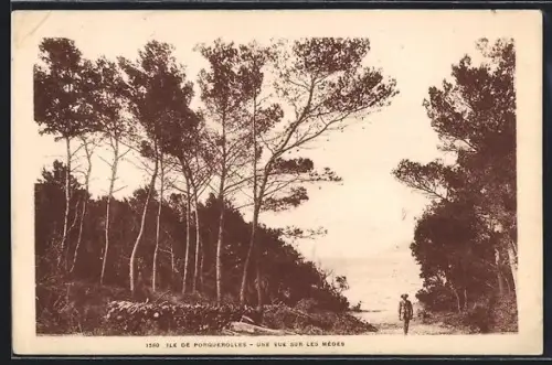 AK Ile de Porquerolles, Une vue sur les Mèdes