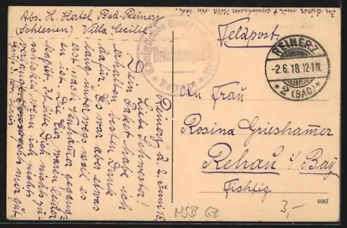 AK Bad Reinerz, Vogelschau auf den Ort