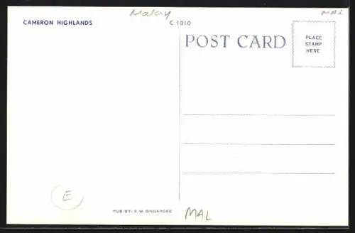 AK Malay, Cameron Highlands