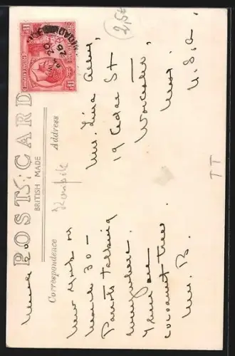 AK Trinidad, The Palms